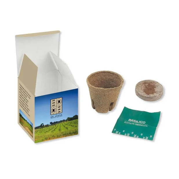 scatolina-con-semi-e-vasetto-1
